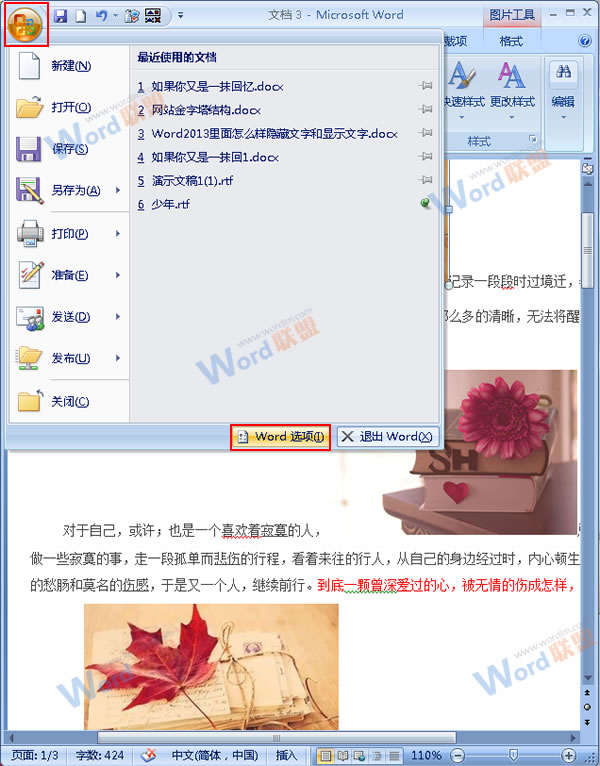 Word2007如何通过隐藏图片来提高浏览速度？