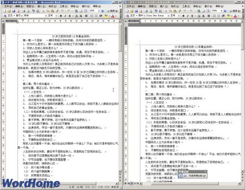 在Word2003文档中并排比较窗口