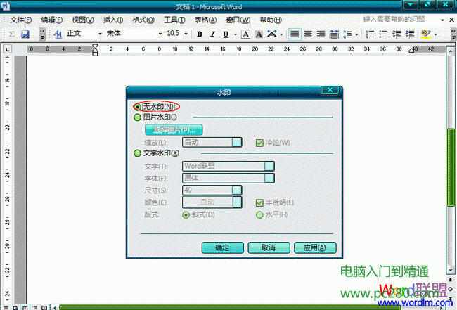 Word2003文档怎么样去水印