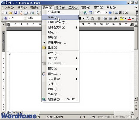 Word2003文档中插入页码