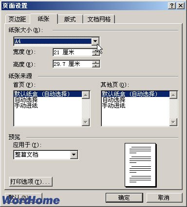 Word2003文档中设置纸型和页边距