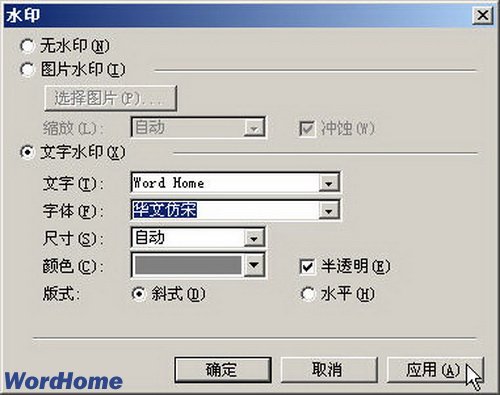 Word2003文档设置文字水印