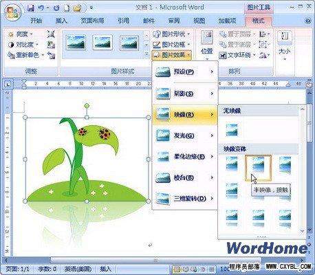 Word 2007技巧：设置剪贴画映像效果