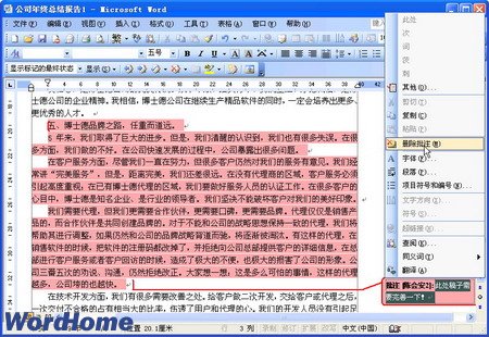 在Word2003中使用Word文档批注功能