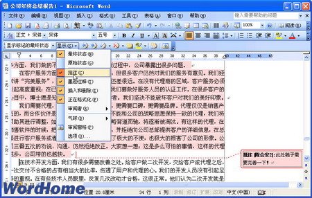 在Word2003中使用Word文档批注功能