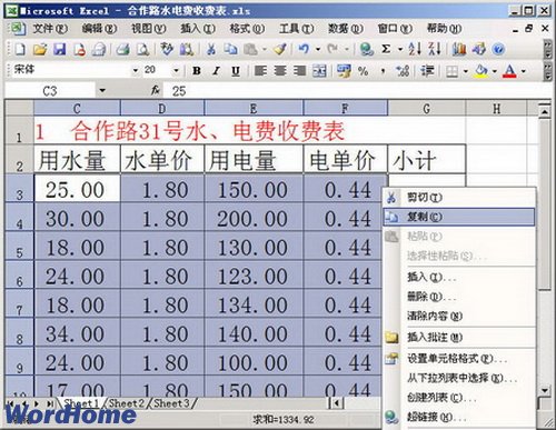 在Word2003中使用“选择性粘贴”功能粘贴Excel数据