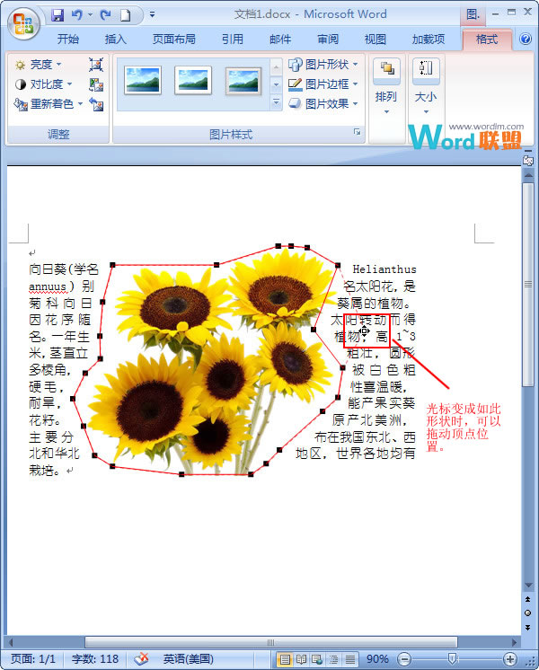 在Word2007中如何让文字紧挨图片