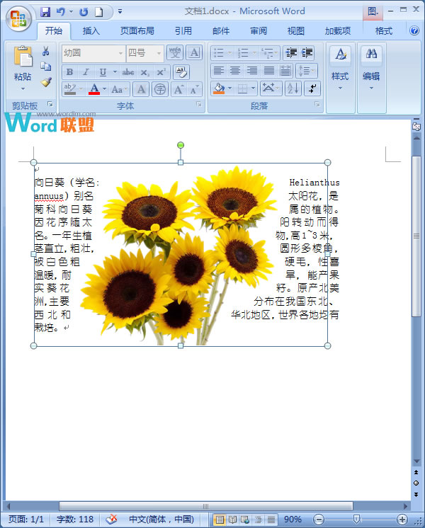 在Word2007中如何让文字紧挨图片