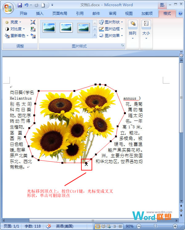 在Word2007中如何让文字紧挨图片