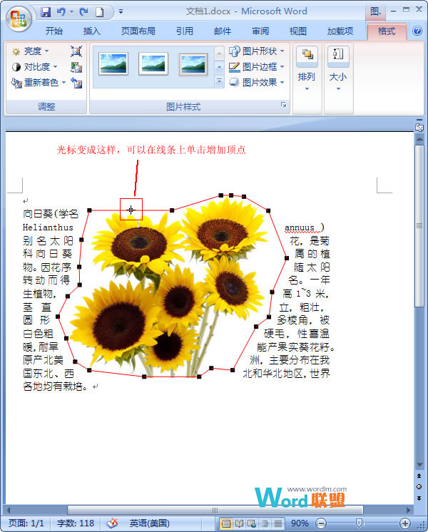 在Word2007中如何让文字紧挨图片