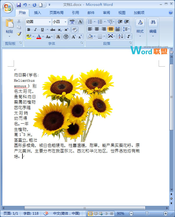 在Word2007中如何让文字紧挨图片