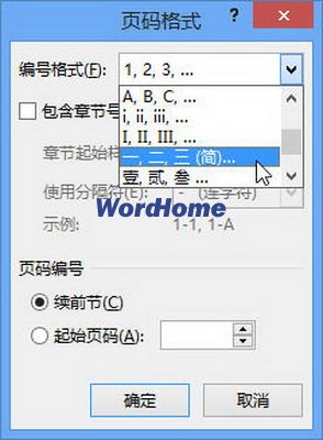 怎样在Word2013中插入纵向的中文页码