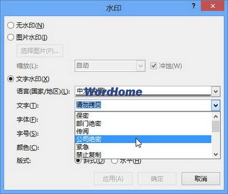 Word2013文档中插入文字水印的方法