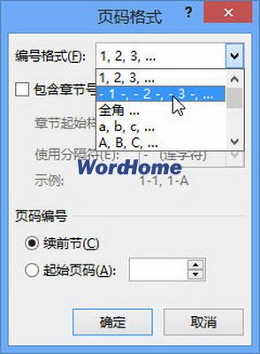 怎样设置Word2013文档的页码格式