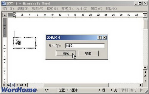 在Word中怎样输入数学公式？