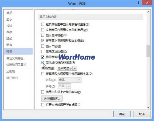 怎样在Word2013中显示域代码而非域值