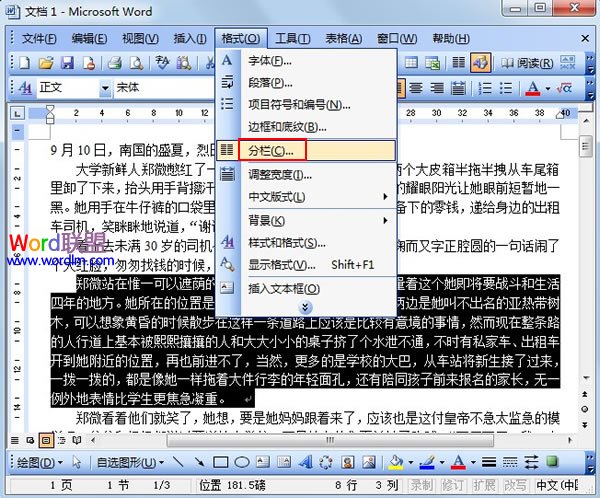 Word2003将文档进行分栏查看