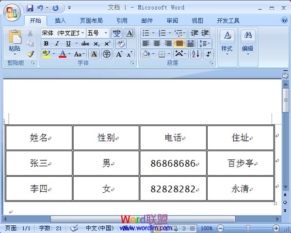 在Word2007中制作双线表格