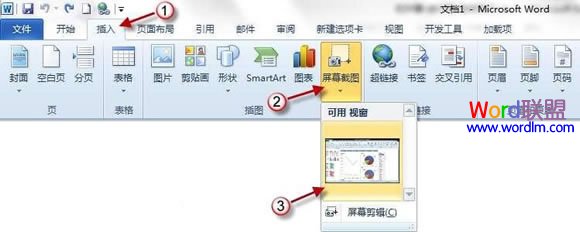 Word2010屏幕截图插入功能如何使用？