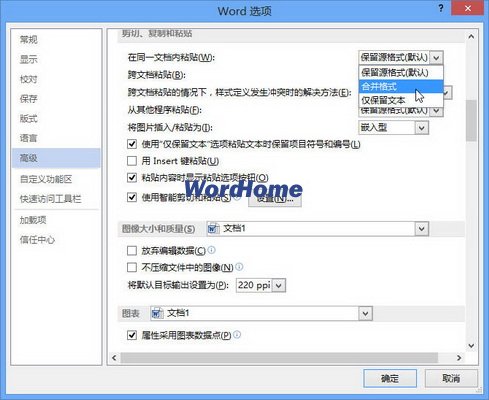 Word 2013中怎样设置同一文档内粘贴选项