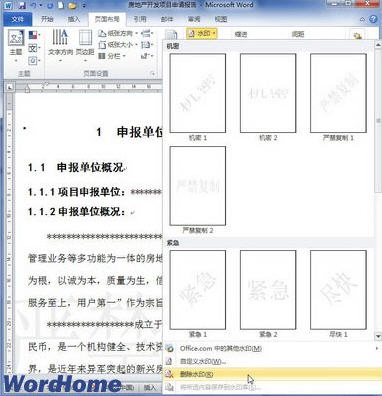 word2010添加和删除水印