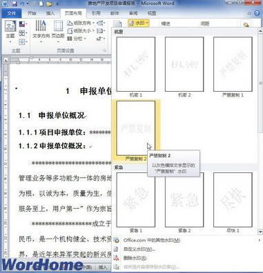 word2010添加和删除水印