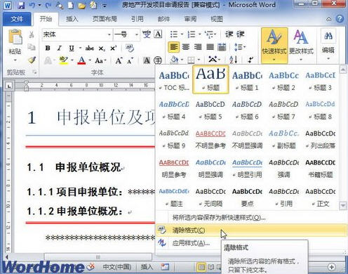 word2010清除格式或样式