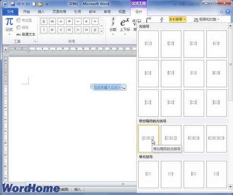 在Word2010文档中创建包含括号的公式