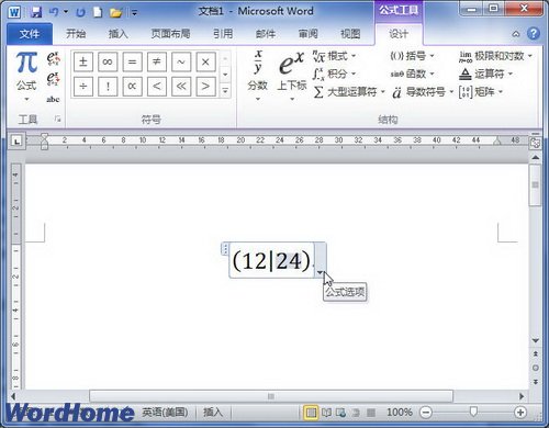 在Word2010文档中创建包含括号的公式