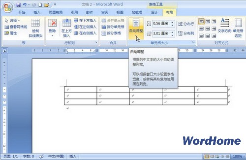 Word 2007技巧：设置自动调整方式