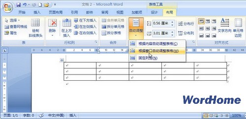 Word 2007技巧：设置自动调整方式