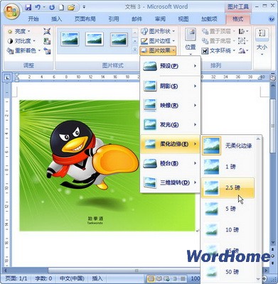 Word 2007技巧：设置图片柔化边缘效果