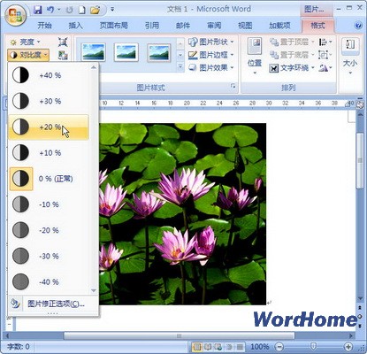 Word 2007技巧：设置图片对比度