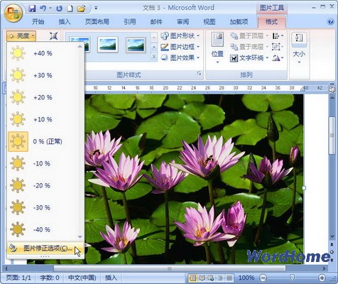 Word 2007技巧：设置图片亮度