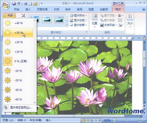 Word 2007技巧：设置图片亮度