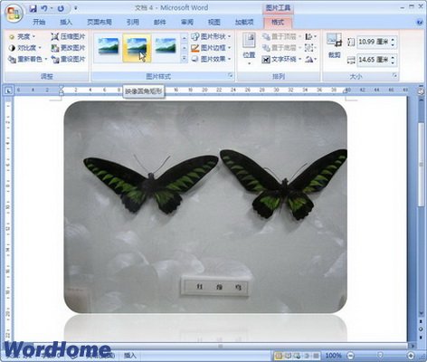 认识Word2007中的图形图片样式