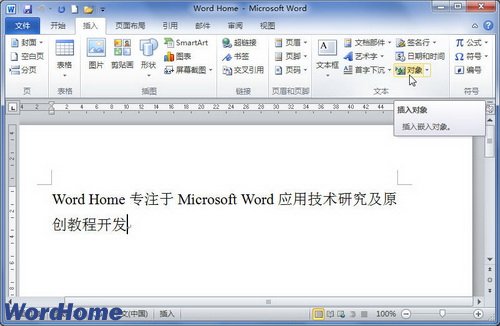 在Word2010中插入链接到文件的对象