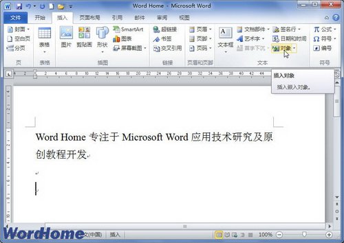 在Word2010文档中插入文件对象