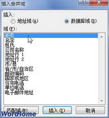 在Word2010文档中插入合并域