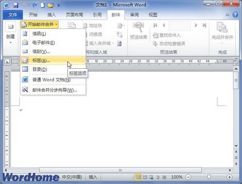 在Word2010文档中设置标签选项