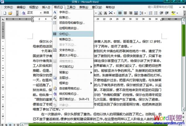 Word2003文档中怎么分栏