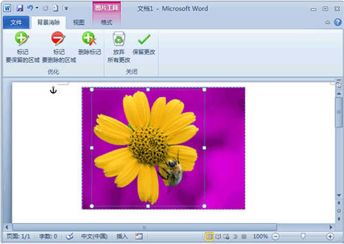 Word 2010去除图片背景技巧