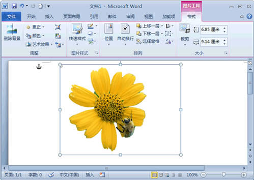 Word 2010去除图片背景技巧