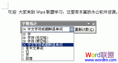 Word2003怎么样统计字数、行数和符号