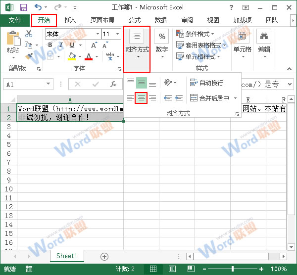 Excel2013如何进行排版？