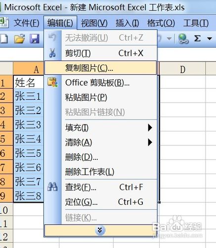 教你用Excel单元格转换成图片形式插入到Word