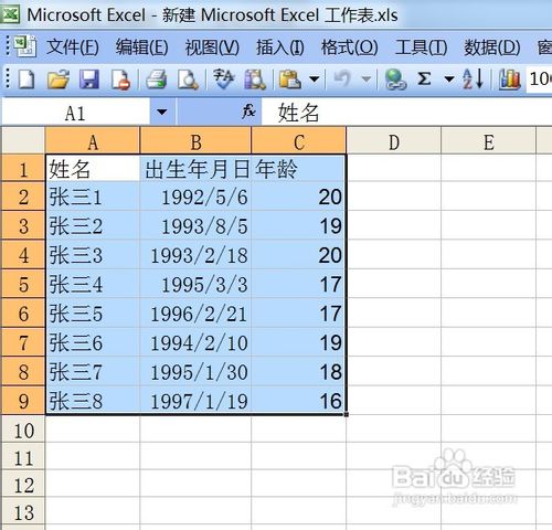 教你用Excel单元格转换成图片形式插入到Word