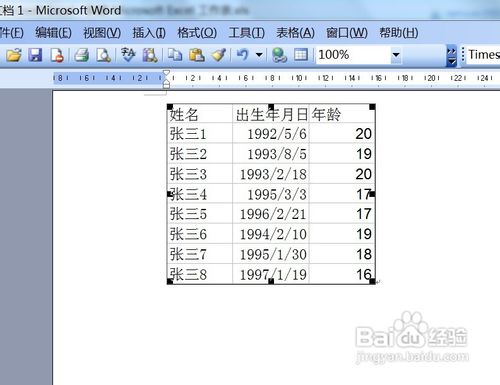 教你用Excel单元格转换成图片形式插入到Word