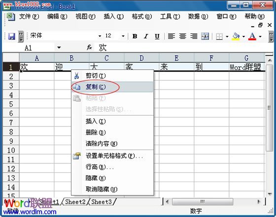 Excel2003中复制行数据到列中