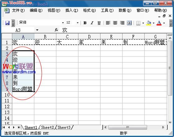 Excel2003中复制行数据到列中